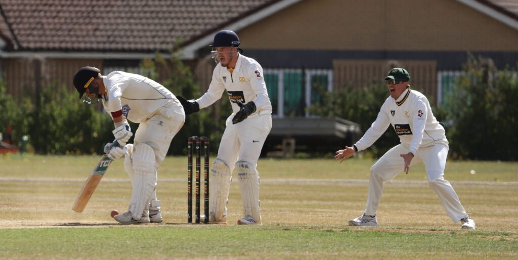 Cambridgeshire opener Callum Guest is trapped lbw by Jack Batchelor.